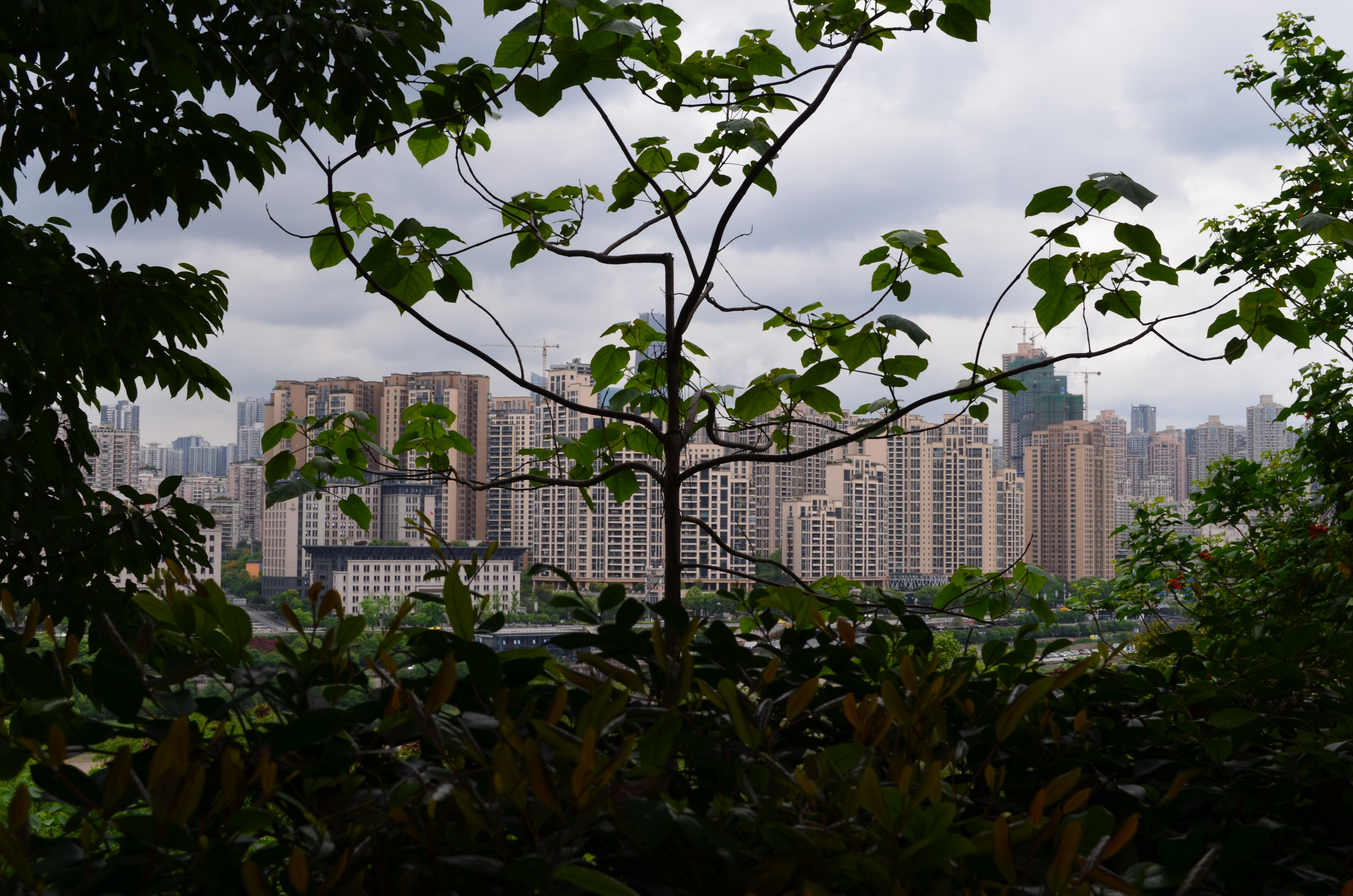 ./2018/03 - Viking China/15 - Chongqing/DSC_0771.JPG